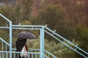 باران پاییزی در تهران/ گزارش تصویری 