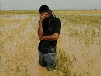 خسارت 2300 میلیارد ریالی به اراضی کشاورزی خوزستان