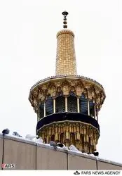 n00174705-r-b-006