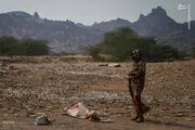 بد بو ترین شغل دنیا/ عکس