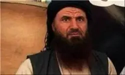 قاضی شرع داعش در «رقه» کشته شد