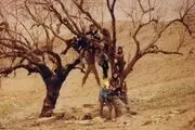 حضور مستند پگاه آهنگرانی در ۴ جشنواره خارجی