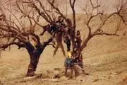 حضور مستند پگاه آهنگرانی در ۴ جشنواره خارجی