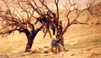 حضور مستند پگاه آهنگرانی در ۴ جشنواره خارجی