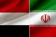 واکنش کارشناس سعودی به دفاع ایران از یمن+فیلم