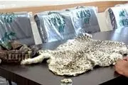 
‍ عامل شکار یک قلاده پلنگ در رودبار شناسایى و دستگیر شد + عکس
