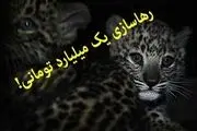 طرح یک میلیارد تومانی رهاسازی ورکان لو رفت