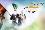 امام زمان(عج) در دولت خود از چه کسانی استفاده می‌کنند؟