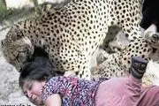 جدال زن خوش شانس بایوزپلنگ وحشی + عکس