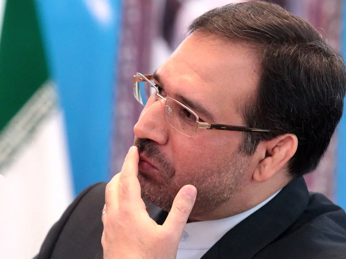 وزیر اسبق اقتصاد: مجری مصمم باید بر بازار ارز اشراف اطلاعاتی داشته باشد