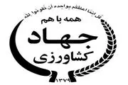 گیاه دارویی ماریتیغال برای نخستین بار در چهارمحال و بختیاری کشت شد
