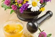 دمنوش‌های گیاهی که جان شما را در پاییز و زمستان نجات می‌دهند!