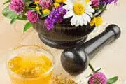 دمنوش‌های گیاهی که جان شما را در پاییز و زمستان نجات می‌دهند!