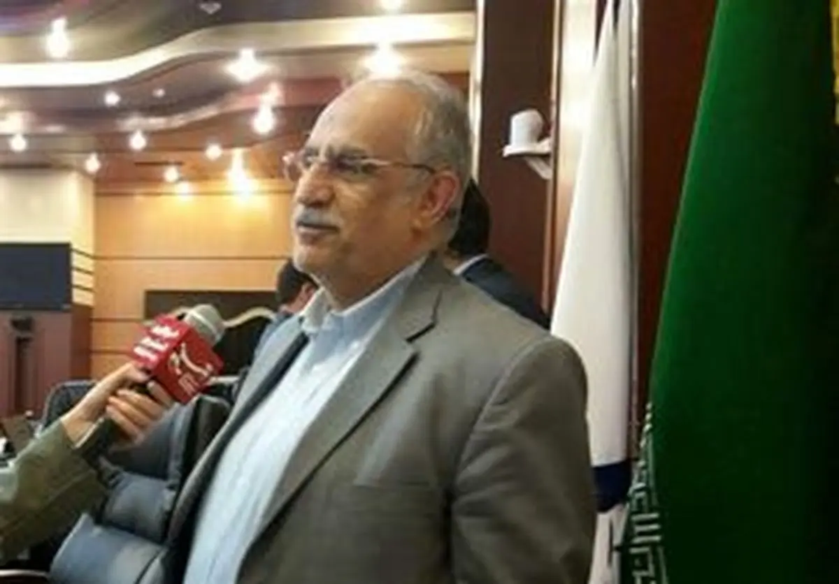 وزیراقتصاد: خصوصیسازی واقعی اجرا میشود