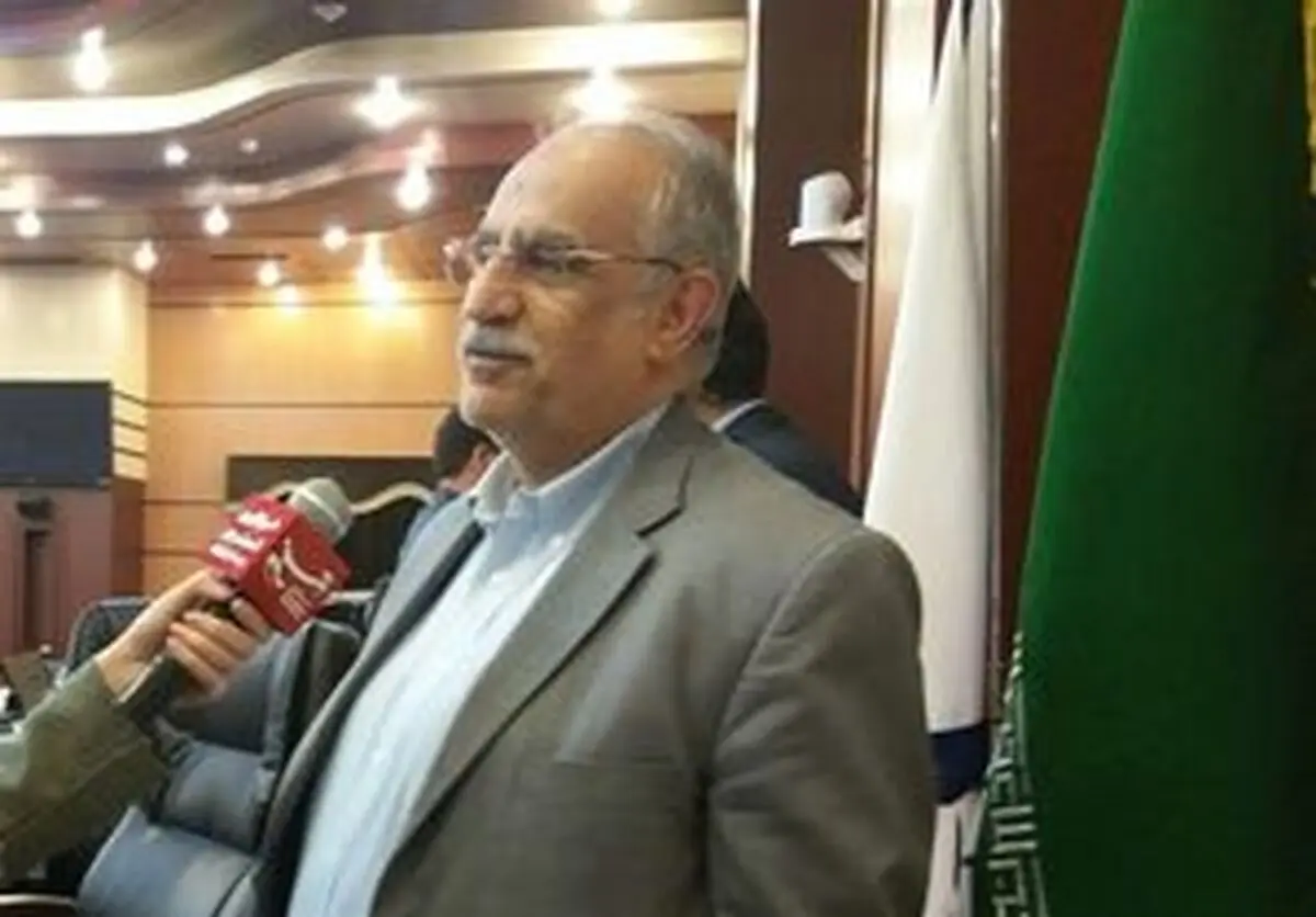 وزیراقتصاد: خصوصی‌سازی واقعی اجرا می‌شود 