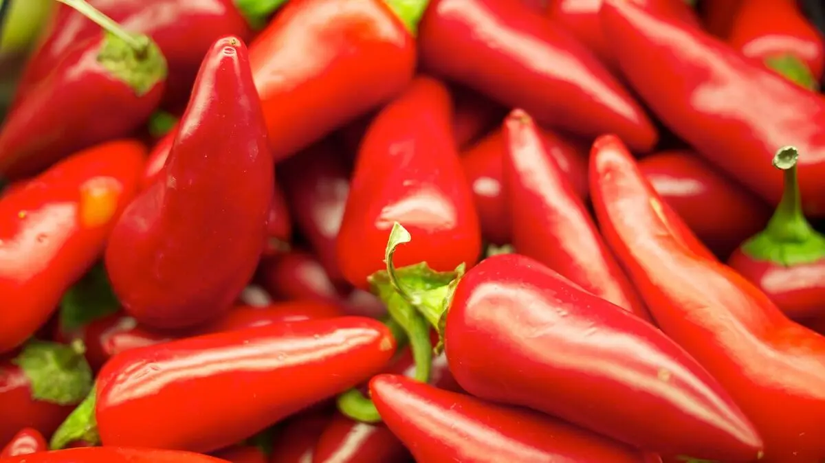 فلفل قرمز و سفید و سیاه چه تفاوتی دارند؟