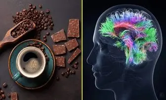 ارتباط "قهوه و شکلات" با هوش انسان