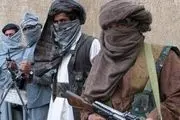 طالبان 9 گردشگر را ربود