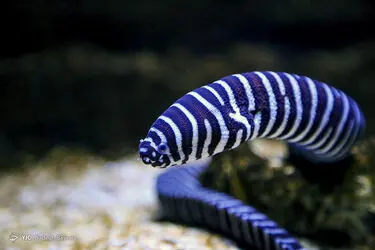 12552047_251