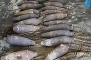 گوشه‌ای از اسلحه های داعش + عکس
