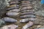 گوشه‌ای از اسلحه های داعش + عکس
