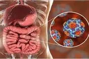 
رشد بیماران بدحال آنفلوآنزا؛ توصیه‌های متخصص عفونی
