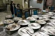 قیمت انواع ماهی ۱۶ خرداد ۱۴۰۳+ جدول
