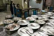 قیمت انواع ماهی ۱۹ اردیبهشت ۱۴۰۳+ جدول
