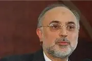 صالحی: موفقیت مذاکرات مدیون بینش سیاسی رهبری است