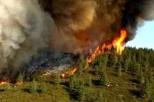 آتش‌سوزی در جنگل‌های کالیفرنیا ادامه دارد 