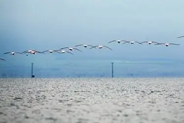 13951214001167636242323715537132_67108_PhotoU