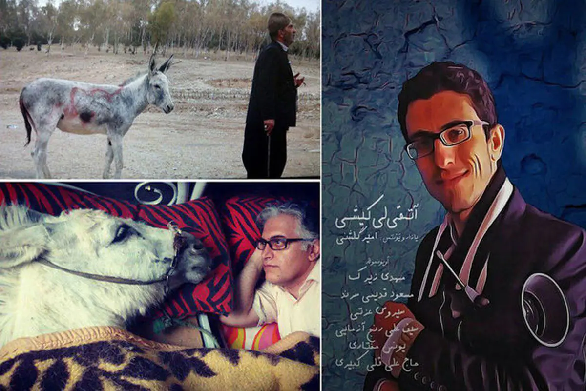 
وقتی «خرها» سوژه می‌شوند