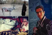 
وقتی «خرها» سوژه می‌شوند