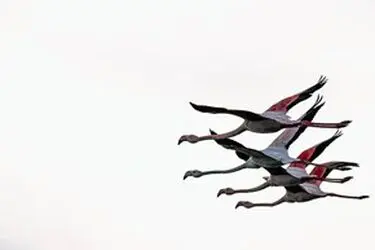 13951214001167636242323737412659_28247_PhotoU