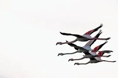 13951214001167636242323737412659_28247_PhotoU