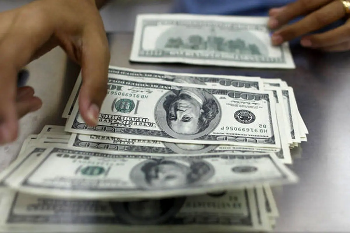 دولت نباید دلار را قیمت گذاری کند