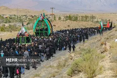 3915156_15.آیین-نخل-برداری-سنتی-در-علی-آباد-یزد