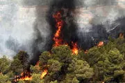 مهار آتش سوزی در ۲ هکتار از مراتع تکاب 