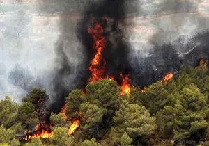 مهار آتش سوزی در ۲ هکتار از مراتع تکاب 