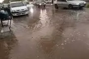 ببینید| بارش شدید باران امروز در لارستان استان فارس


