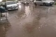 ببینید| بارش شدید باران امروز در لارستان استان فارس

