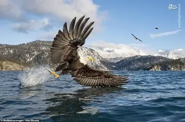 2795776.jpg