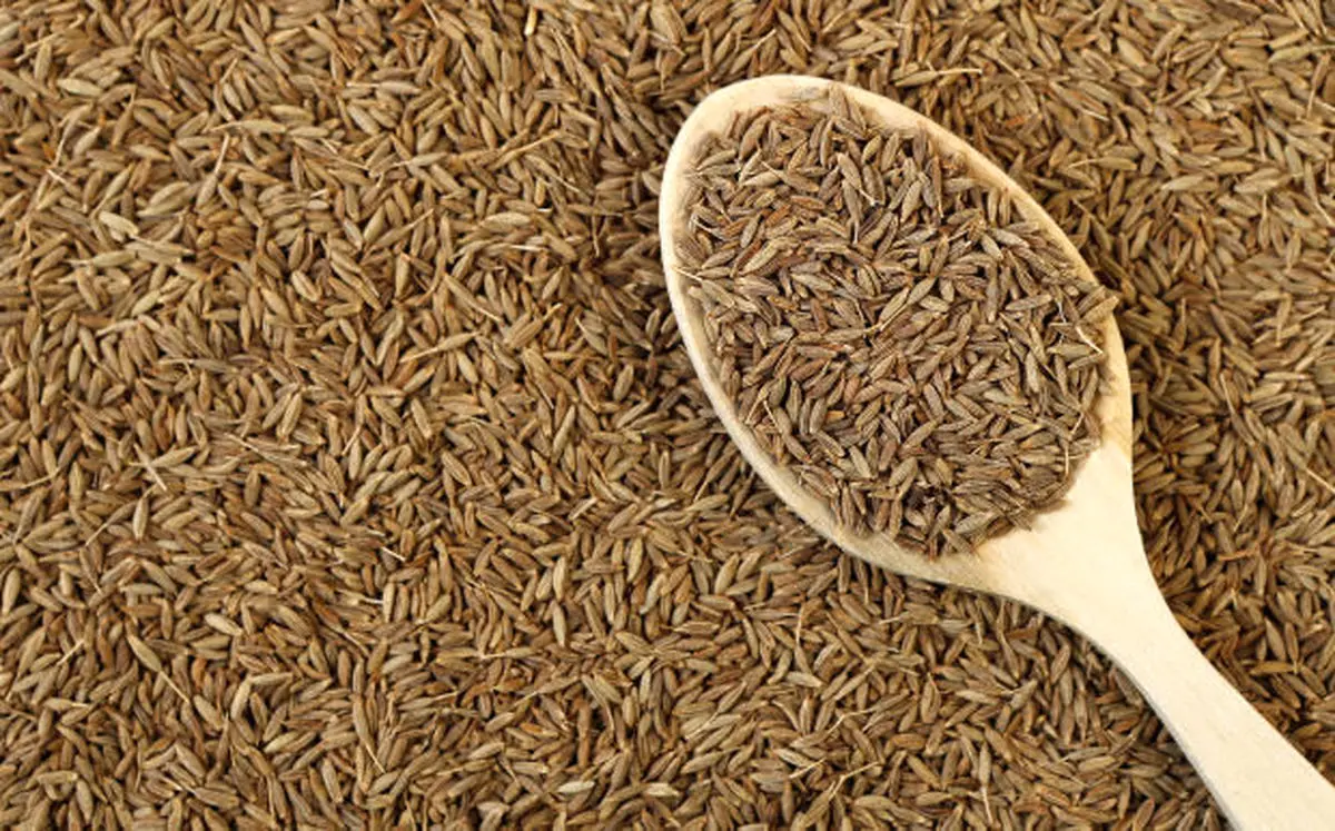 خواص شگفت انگیز زیره سیاه