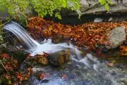 پاییز زیبا در ایران/ گزارش تصویری