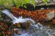 پاییز زیبا در ایران/ گزارش تصویری