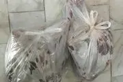 کشف لاشه قوچ وحشی درشرق تهران