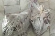 کشف لاشه قوچ وحشی درشرق تهران