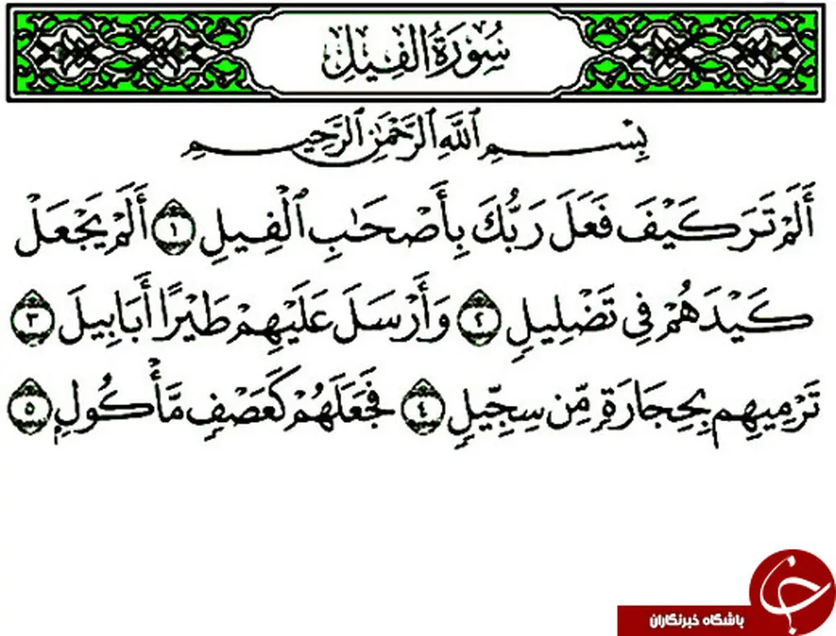 آثار و برکات بی نظیر سوره فیل که از آن بی خبرید
