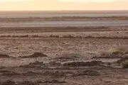 اخبار ناگوار از  تالاب گاوخونی