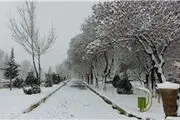 برفی که بهار ملایر را غافلگیر کرد